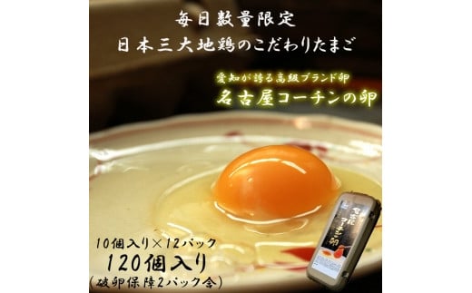 ☆名古屋コーチンの卵12パック（破卵保証2パック含） 737403 - 愛知県稲沢市
