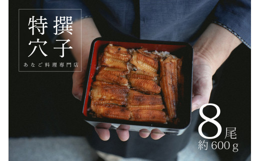 [№5735-0281]あなご料理専門店の～ふっくら肉厚～【特撰焼きあなご 8尾入】 