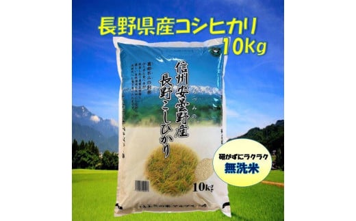 米 無洗米 コシヒカリ 長野県産 10kg