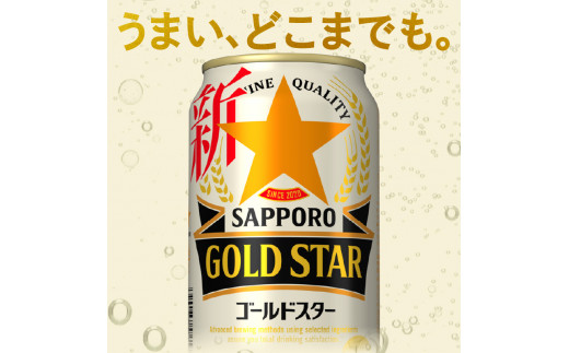 a22-030 【サッポロ ビール】ゴールドスター350ml×24本×2箱 - 静岡県