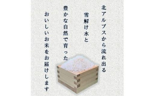 長野県大町市のふるさと納税 米 無洗米 コシヒカリ 長野県産 10kg
