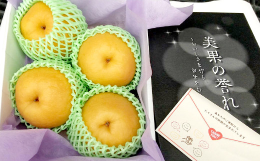 【先行予約】品種お楽しみ 熊本県産 梨 約2kg (3玉～4玉)  フルーツ 果物