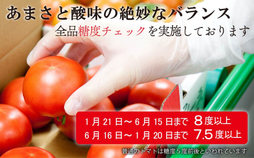 jun 様専用アメーラトマト フルーツトマト16玉-