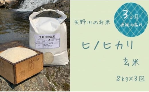 【定期便・全3回】矢野川のお米 ヒノヒカリ玄米5kgｘ3回 - 兵庫県