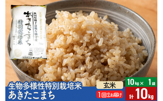 【玄米】令和5年産 生物多様性特別栽培米あきたこまち 10kg（10kg×1袋） 635128 - 秋田県美郷町