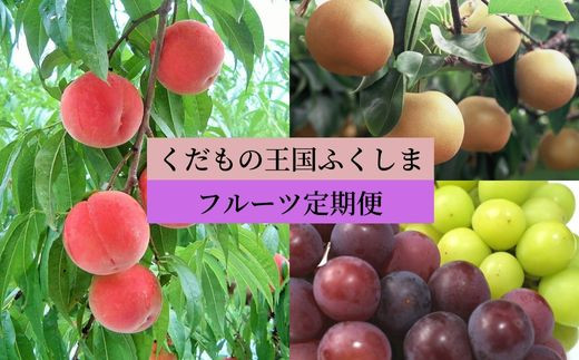 No.2539 【2023年発送分】フルーツ3種定期便(桃約3kg、梨約3kg、シャインマスカット&巨峰又はピオーネ各1房) 640984 - 福島県福島市