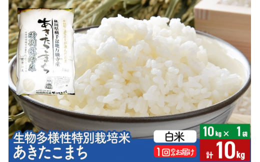 【白米】令和5年産 生物多様性特別栽培米あきたこまち 10kg（10kg×1袋） 635129 - 秋田県美郷町
