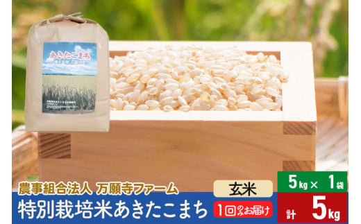 【玄米】令和5年産 特別栽培米あきたこまち 5kg（5kg×1袋） 635134 - 秋田県美郷町