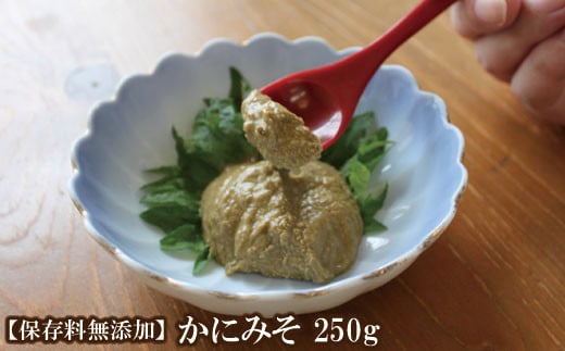 【保存料無添加】香住ガニ身入り かにみそ250g 保存に便利なキャップ付きチューブタイプ 香住ガニ身入り 常温 カニの本場 香住加工 当社の「かにみそ」は、香住ガニ（ベニズワイガニ）とズワイガニのカニ味噌をブレンド 熟練の職人が丁寧にじっくり炊き上げ 濃厚な味わい 保存料無添加 お酒の肴 ご飯のお供 大人気 ふるさと納税 カニみそ 香美町 香住 カニ レターパック 日本海フーズ 07-47 