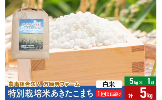 【白米】令和5年産 特別栽培米あきたこまち 5kg（5kg×1袋） 635135 - 秋田県美郷町