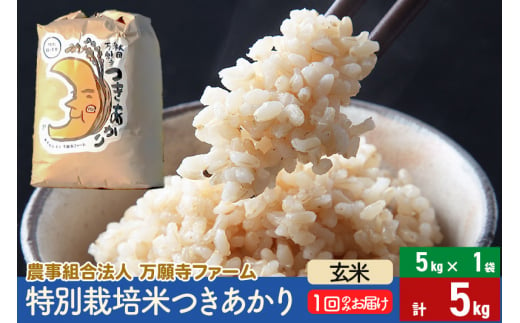 【玄米】令和5年産 特別栽培米つきあかり 5kg（5kg×1袋）