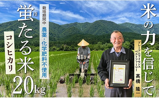 HO特別栽培米 蛍たる米コシヒカリ 20㎏ 476525 - 山形県最上町