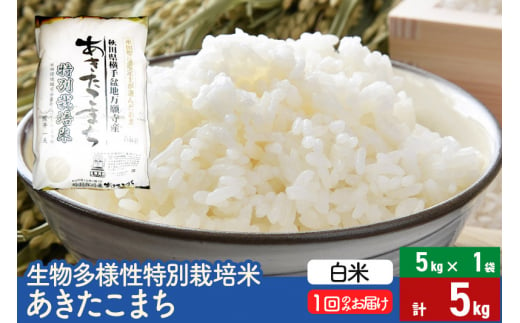 【白米】令和5年産 生物多様性特別栽培米あきたこまち 5kg（5kg×1袋） 635123 - 秋田県美郷町