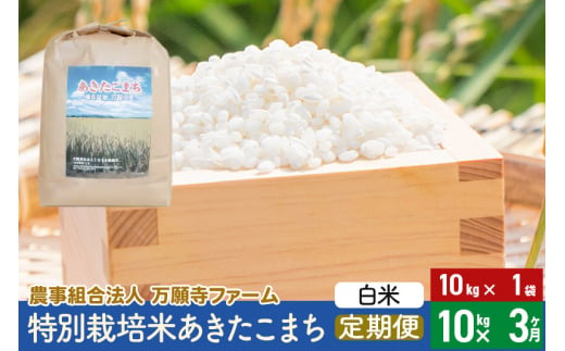 【白米】《定期便3ヶ月》令和5年産 特別栽培米あきたこまち 10kg（10kg×1袋）×3回 計30kg 3か月 3ヵ月 3カ月 3ケ月