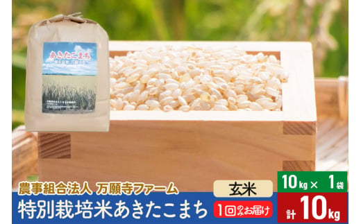 【玄米】令和5年産 特別栽培米あきたこまち 10kg（10kg×1袋） 635140 - 秋田県美郷町