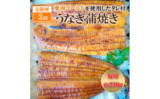 定期便 3回 四万十 うなぎ 愛南ゴールド入り うなぎのたれ セット 鰻 うなぎ 蒲焼 ひつまぶし うな丼 鰻丼 う巻き 国産 鰻 海鮮 魚 土用の丑の日 タレ ごはん 山椒 四万十 愛南 愛媛 愛南総研