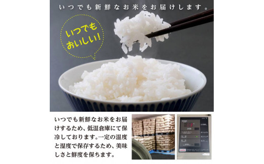 令和5年産】新米 山形県庄内産 工藤さんの特別栽培米はえぬき無洗米