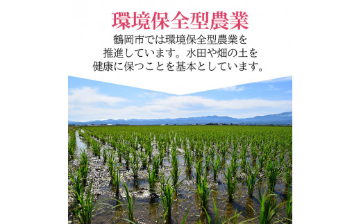 令和5年産】 特別栽培米 つや姫 乾式無洗米 10kg（5kg×2袋）山形県鶴岡