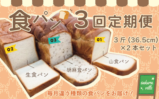 22-356．【3回定期便】sakura ville 食パン3回定期便 869432 - 高知県四万十市