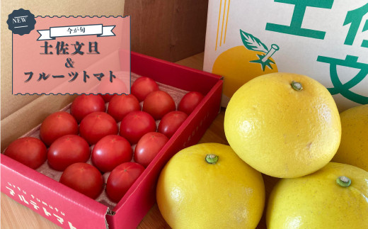 どちらも今が旬！土佐文旦（約7kg）とアルテトマト（フルーツトマト