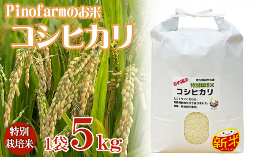 令和4年産米 Pinofarmのお米 特別栽培米 コシヒカリ 5kg