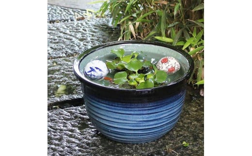 信楽焼 10号藍の色水鉢 睡蓮鉢 メダカ鉢