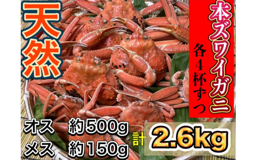 E4026 【期間限定・11月発送】本ズワイガニ『約2.6kg』セット（雄ガニ（500g×4杯）・女ガニ（150g×4杯））