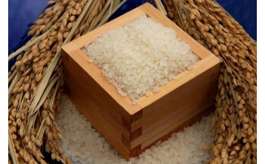 環境こだわり農産物認証！特別栽培米！農産物検査1等 鹿深米みずかがみ5kg