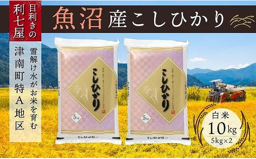 【令和5年産】【魚沼産コシヒカリ 白米10kg（5kg×2袋）×全9回】雪解け水がお米を育む、津南町特A地区の美味しいお米。 714649 - 新潟県津南町