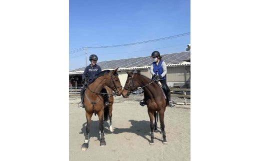 【乗馬クラブアトラス】 乗馬体験3ヶ月体験コース（初級・経験者コース） 462047 - 群馬県伊勢崎市
