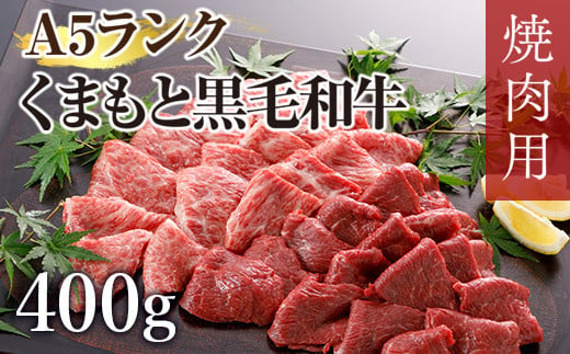 A5ランクのくまもと黒毛和牛焼肉用400g 406943 - 熊本県湯前町