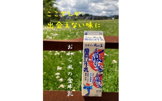 Yatsuo MILK １L(牛乳)【4本セット】富山八尾の特製おわら牛乳 713024 - 富山県富山市
