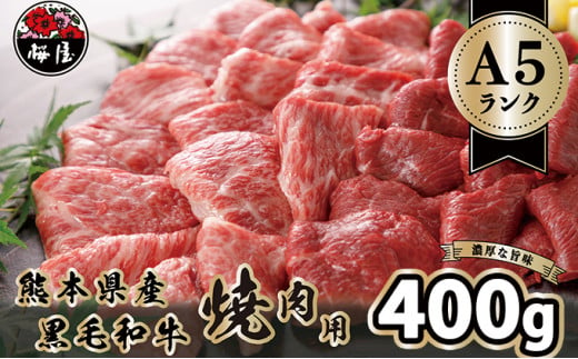 A5 ランクの熊本県産 黒毛和牛 焼肉用 400g