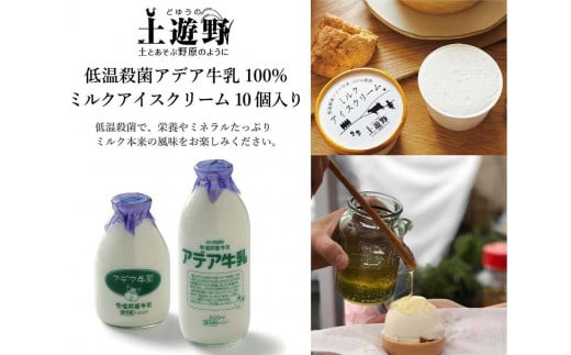 低温殺菌アデア牛乳100%のミルクアイスクリーム10個入り 712753 - 富山県富山市