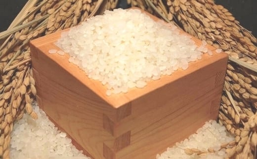 環境こだわり農産物認証！特別栽培米！鹿深の味食べ比べ1kg×3本セット 502881 - 滋賀県甲賀市