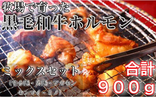 牧草で育った黒毛和牛ホルモンミックスセット900ｇ 1406378 - 鹿児島県大崎町