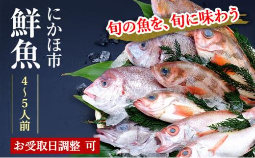 下処理済 鮮魚 詰合せ 切り身 4~5人前 届けばすぐ食べられる鮮魚セット 詰め合わせ(お魚ボックス パック)