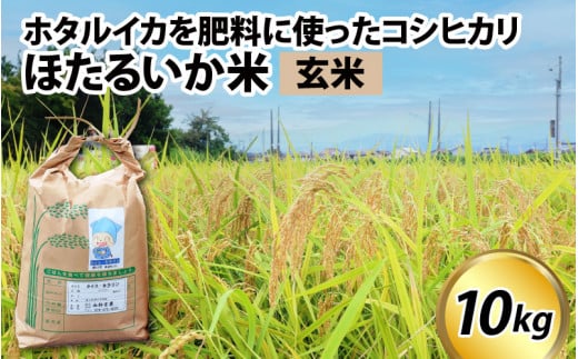 【訳あり】ほたるいか米（玄米10kg）【通年発送】
