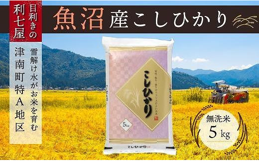 【令和5年産 新米】【魚沼産コシヒカリ 無洗米5kg×全3回】雪解け水がお米を育む、津南町特A地区の美味しいお米。|利七屋　津南営業所