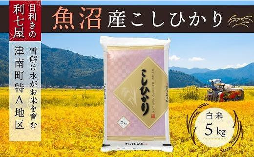 魚沼産コシヒカリ 白米5kg×全12回】雪解け水がお米を育む、津南町特A