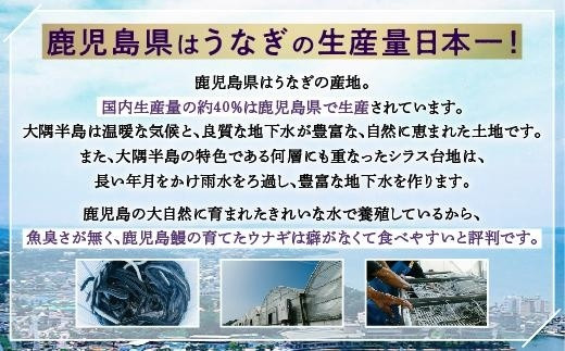 【超特大】ひろくんのうなぎ 250g×2尾