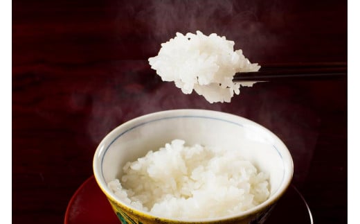 【令和5年産 新米】【魚沼産コシヒカリ 白米5kg×全6回】雪解け水がお米を育む、津南町特A地区の美味しいお米。