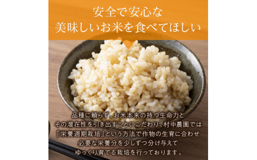 【3ヶ月定期便】ななつぼし 玄米5kg 北海道 北見市端野産 ( 米類 米 玄米 ななつぼし 5キロ 定期便 )【999-0020】|村中農園