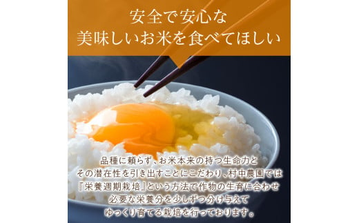 【3ヶ月定期便】ななつぼし 白米5kg 北海道 北見市端野産 ( お米 米類 米 白米 ななつぼし 5キロ 定期便 )【999-0018】