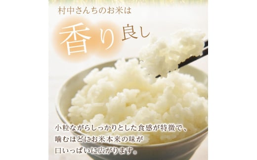 3ヶ月定期便】ななつぼし 白米5kg 北海道 北見市端野産 ( お米 米類 米