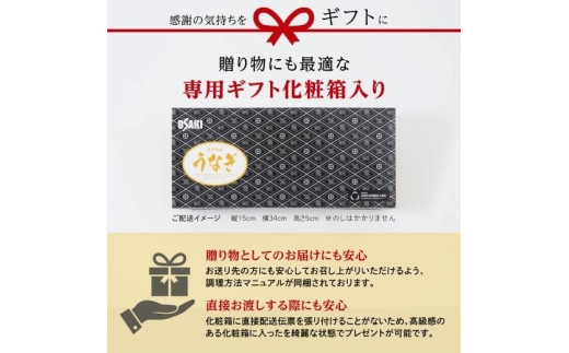 数量限定】鹿児島県産うなぎ長蒲焼6尾（約100g×6尾） - 鹿児島県大崎町