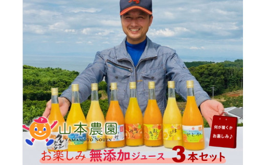 N-118 山本農園のお楽しみ無添加ジュース ３本セット 394834 - 佐賀県太良町