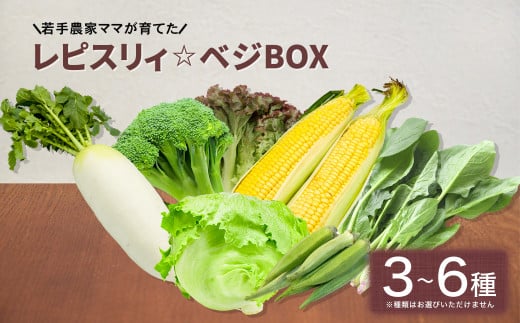 レピスリィ☆ベジBOX 季節のお野菜 3～6種類 詰め合わせ