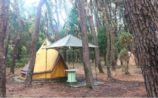 ちがさき柳島キャンプ場 セットアップテントで森林浴キャンプ 710980 - 神奈川県茅ヶ崎市