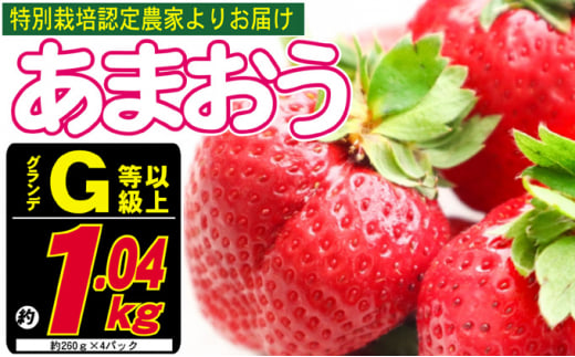 マヌカパワーマックス 120g 4g×30本 - 福岡県朝倉市｜ふるさとチョイス